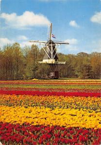 BT1242 netherlands windmolen windmill mill land of flowers