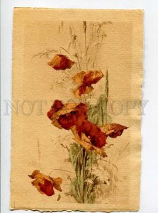 414827 Field POPPY Bouquet UnSign C. KLEIN Vintage PC