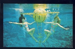 Weeki Wachee, Florida/FL Postcard, Two Mermaids With Aquatic Prop