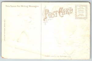 1909  Patriotic  Abraham Lincoln Centennial Souvenir    Postcard