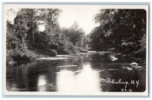 c1910 Petersburg River F.C.H. New York NY RPPC Unposted Photo Postcard 