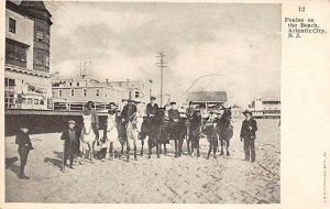 Ponies on the beach Atlantic City, New Jersey, USA Horse PU Unknown 