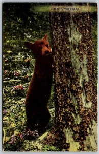 Vtg Greetings from Ludington Michigan Bear Cub in the Woods 1950s View Postcard