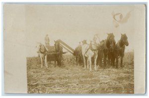 c1910's Picking Corn Farming Farmers Horses Wagon Antique RPPC Photo Postcard