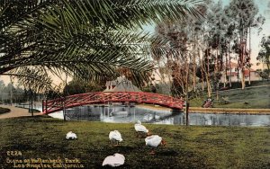 LOS ANGELES, CA California  HOLLENBECK PARK  Bridge~Pond~Geese  c1910's Postcard