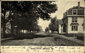 Madison Maine ME Street Scene 1900s-10s Postcard