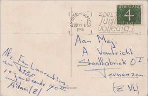 Anthropomorphic Cats Kittens Chilling Outside Vintage Postcard C003