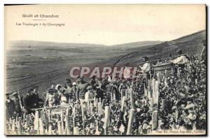 Old Postcard Folklore Wine Vineyard Harvest Champagne Moet et Chandon Champag...