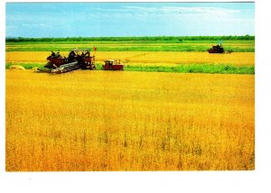 Suburban  Commune, Nanking, China, Farming