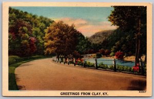 Vtg Scenic Greetings From Clay Kentucky KY River Landscape 1940s View Postcard