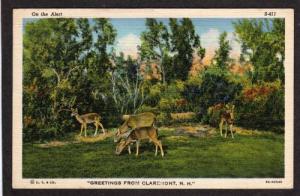 NH Greetings from CLAREMONT NEW HAMPSHIRE PC Deer