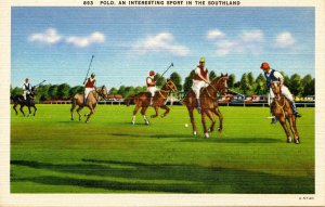 Polo in the South Land