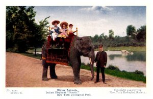 Indian Elephant Gunda Children riding atop