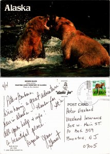 Brown Bears, Alaska (23642