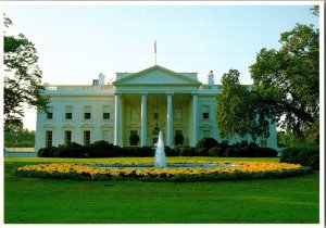 Continental Postcard The White House, Washington DC CF4