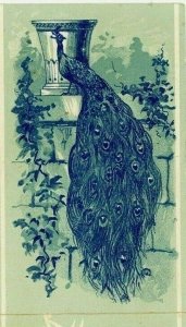 1881 Peacock Bird Wallace's Bookstore Holidays Victorian Bookmark Cortland NY 