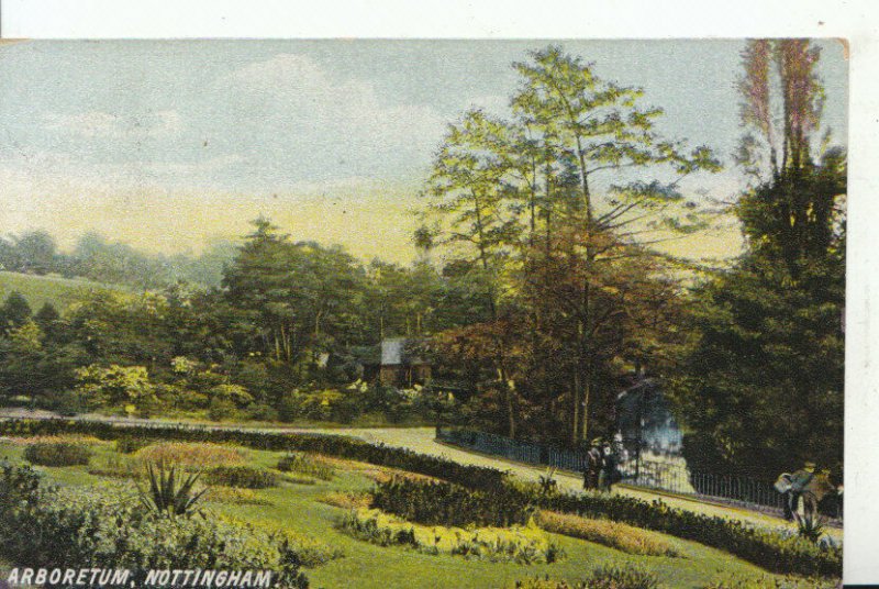 Nottinghamshire Postcard - Arboretum -  Ref 16329A