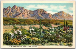 VINTAGE POSTCARD CATALINA MOUNTAINS AND DESERT SCENE NEAR TUSCON ARIZONA