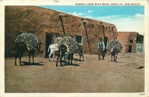 Burros Laden With Wood, Santa Fe, New Mexico Vintage Postcard