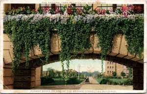 Postcard OH Dayton Flower Boxes One of the Bridges Connecting Buildings 1915 B3
