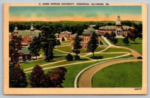 Johns Hopkins University   Baltimore  Maryland  Postcard