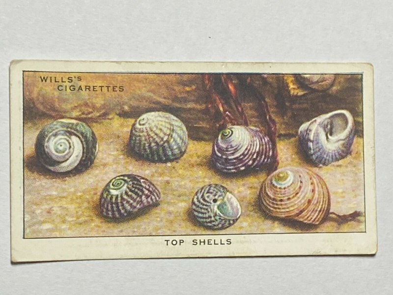 CIGARETTE CARD - WILLS SEA-SHORE #20 TOP SHELLS    (UU53)