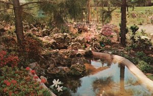 Vintage Postcard Quality Courts Motel Japanese Rock Gardens Tea House Perry GA