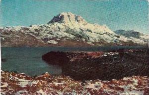 Tasman Glacier, Mt Cook, New Zealand ~ Used [232]  Vintage