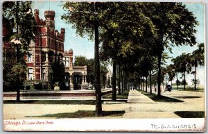 1906 Chicago Illinois IL Shore Drive Roadway & Lined-Trees View Posted Postcard