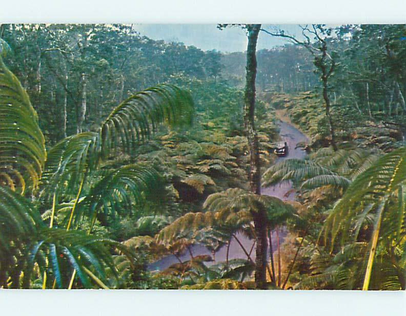 Unused Pre-1980 FERN FOREST state of Hawaii HI r8718