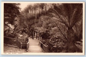 Tasmania Australia Postcard Fern Tree Bower Hobart c1920's Unposted Antique