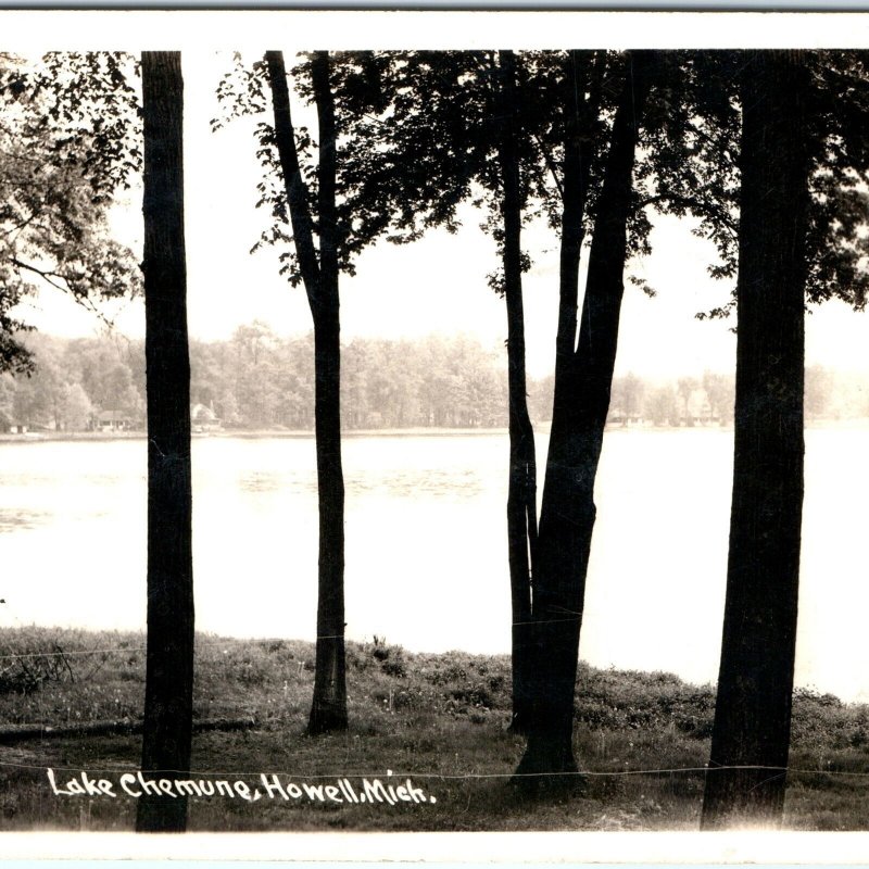 c1940s Howell, MI RPPC Lake Chemung Real Photo Shore Postcard Mich Vtg A100