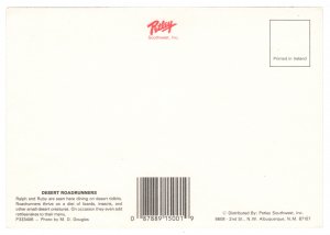 Desert Roadrunners, United States