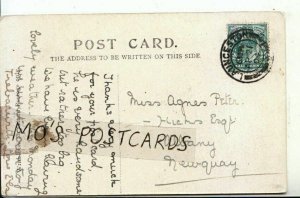 Genealogy Postcard - Agnes Peter - Hicks Esq - Albany - Newquay - Ref 8346A