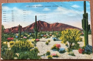 Camelback Mountain PHX AZ Free “Red Cross Canteen” 6/2/1945 LB