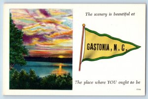 Gastonia North Carolina NC Postcard The Scenery Beautiful At Gastonia Pennant