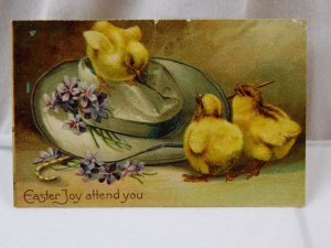 Circa 1910 Adorable Chicks Chickens On Hat Violets Early German Easter P27