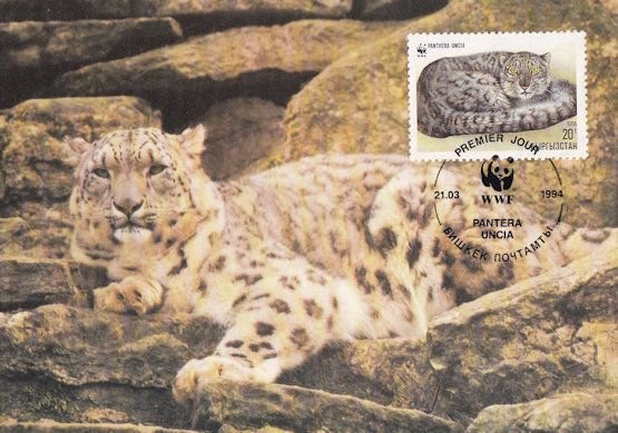 Snow Leopard Giant Cat WWF Stamp FDC Postcard