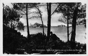 BR9512 Carantec Le Bois de Sapins vue sur la Baie de Morlaix  france