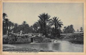 BR45544 Un Barrage dans l oasis Egypte egypt