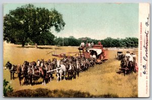 Farming~Combined Header & Thresher Drawn By Horses In Field~Vintage Postcard