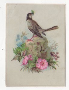 Advertising Card, Bird on Stump with Pink Flowers 