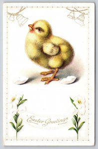 Easter~Hatched Chick Shakes Off Shell~Sees Bells~Lilies~c1910 Vintage Postcard