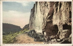 Fred Harvey Espanola New Mexico NM Cliff Ruins Detroit Pub Vintage Postcard