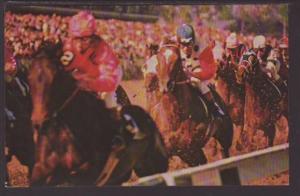 Horses,Spring Meet,Churchill Downs,Louisville,KY Postcard 