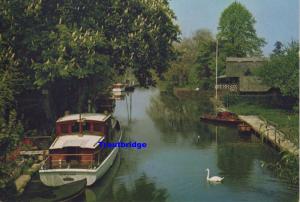 (au24) Oxfordshire The Thames at Goring PC