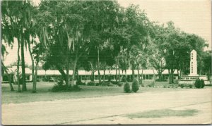 Vtg Sun Plaza Motor Manor Court Motel Silver Ocala Springs Florida FL Postcard