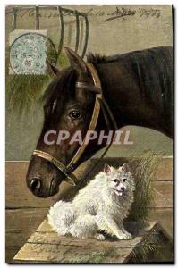 Old Postcard Equestrian Horse Riding Dog