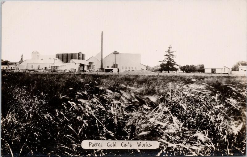 Paeroa Gold Co's Works Paeroa NZ New Zealand UNUSED Real Photo Postcard E56