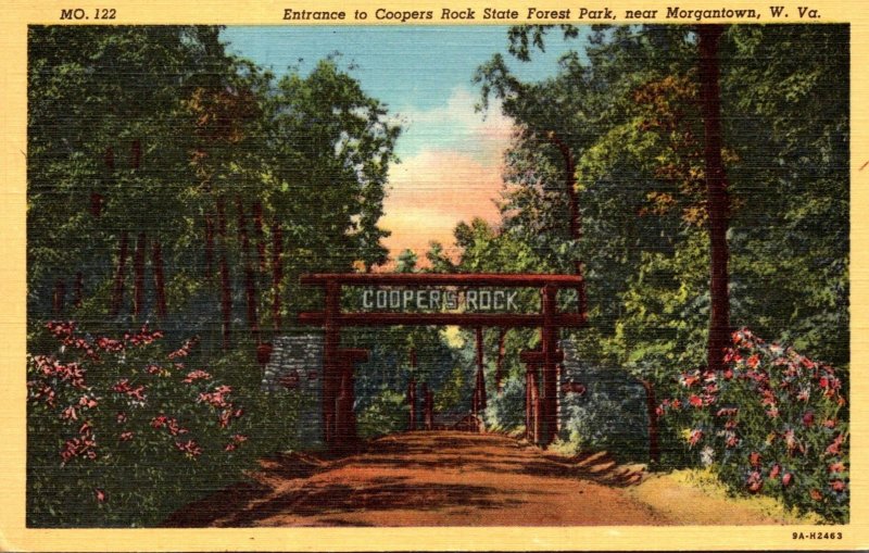 West Virginia Morgantown Entrance To Coopers Rock State Forest Park 1964 Curt...